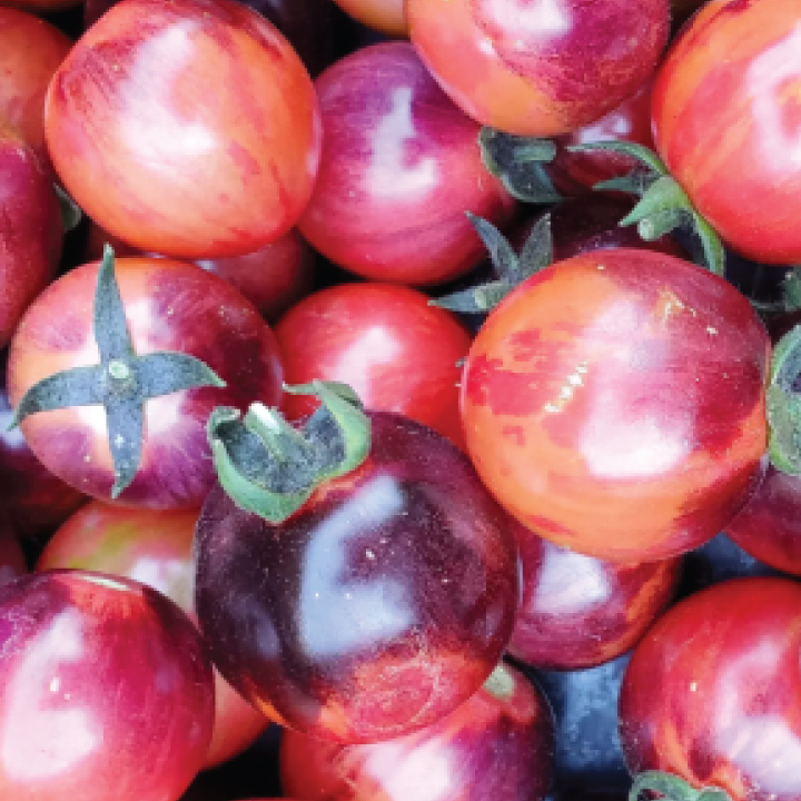 heirloom black strawberry tomato