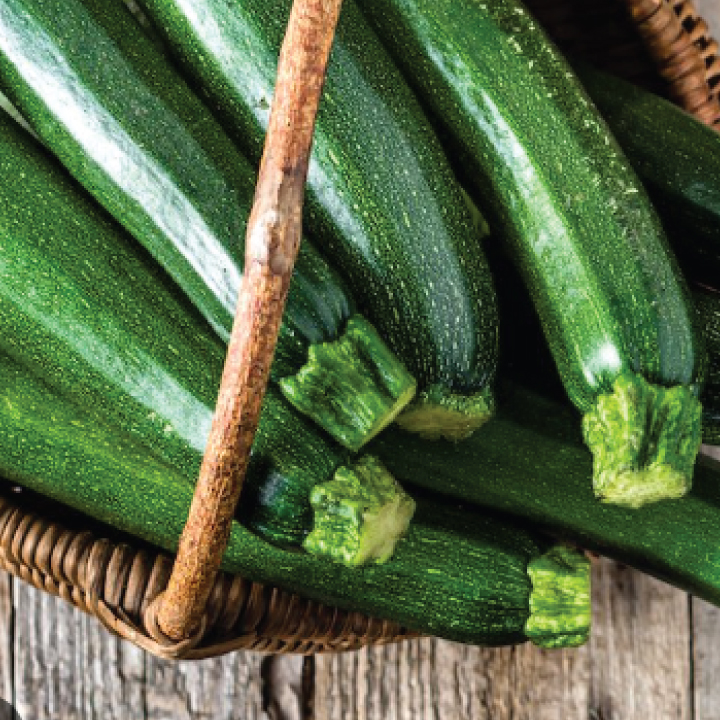 heirloom black beauty zucchini squash