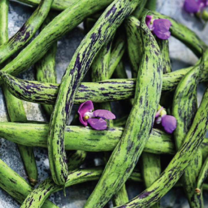 heirloom rattlesnake pole beans