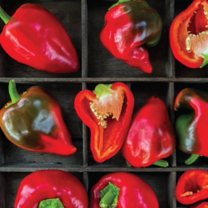 heirloom lesya sweet peppers