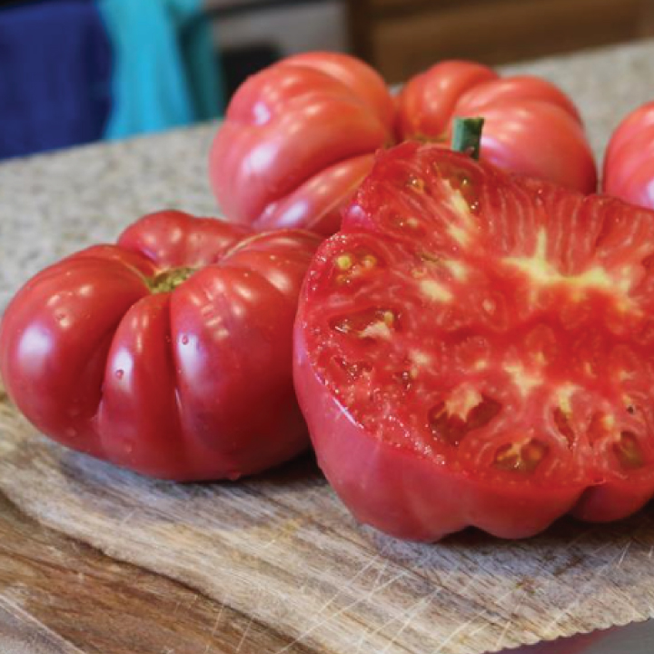 heirloom pink giant tomato